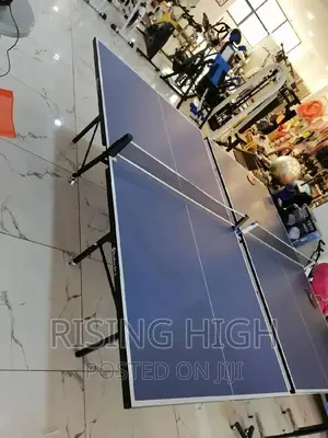 Quality Awsome Table Tennis