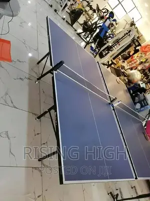Foldable Table Tennis