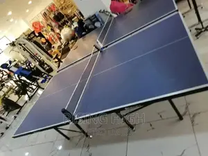 The Best Table Tennis