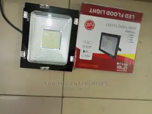 Electric Floodlight