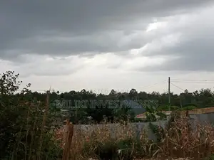 40 by 80 Plot on Sale at Kenol-Kimorori