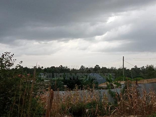 40 by 80 Plot on Sale at Kenol-Kimorori - thumbnail 3