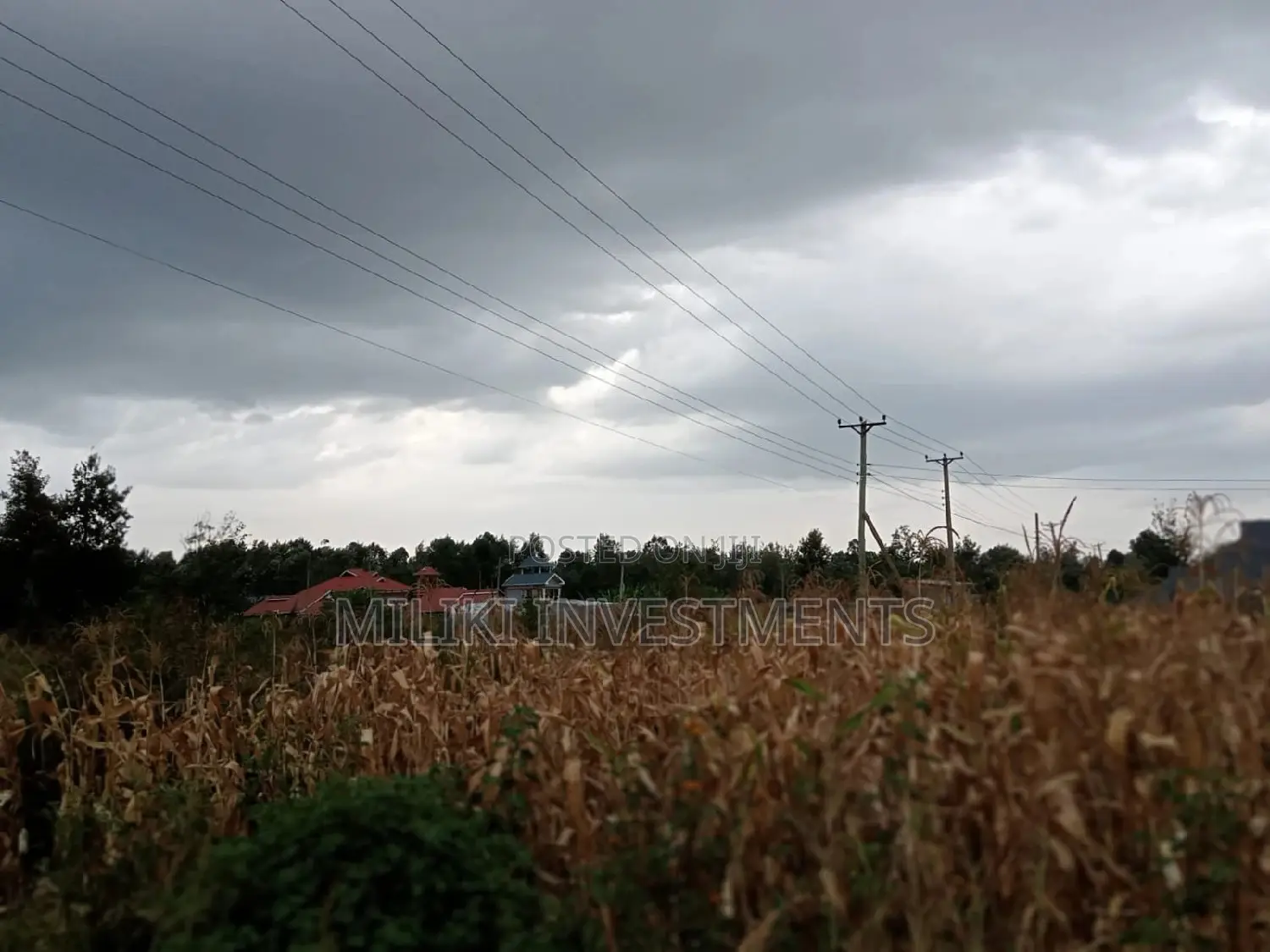 40 by 80 Plot on Sale at Kenol-Kimorori