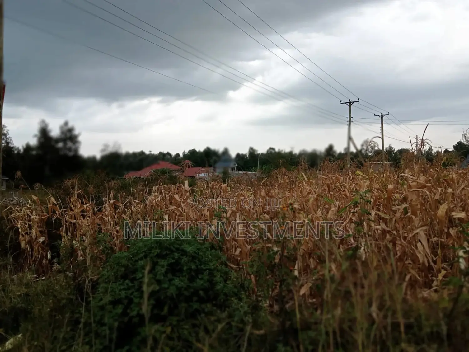 40 by 80 Plot on Sale at Kenol-Kimorori