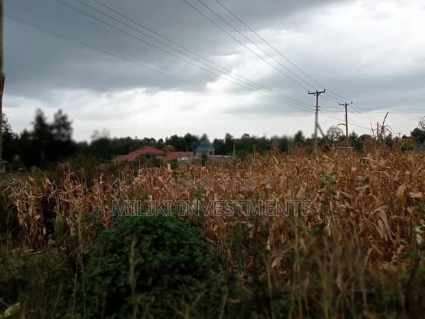 40 by 80 Plot on Sale at Kenol-Kimorori - thumbnail 7