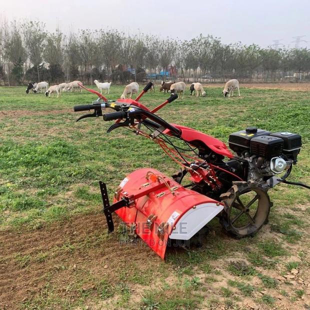 Picture of Micro Tiller in the Field
