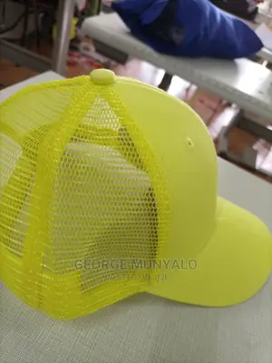 Official Plain Campaign Caps