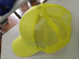 Official Plain Campaign Caps