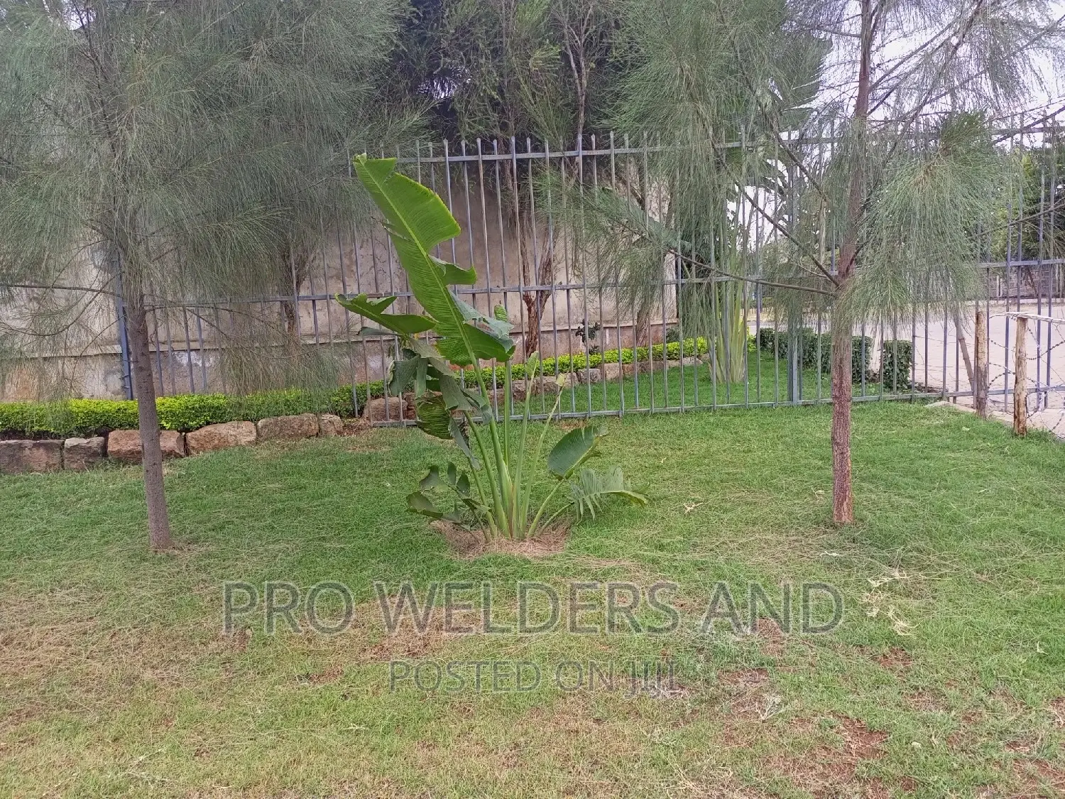 Pallisade Fences