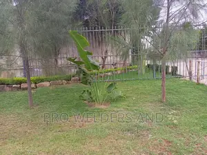 Pallisade Fences