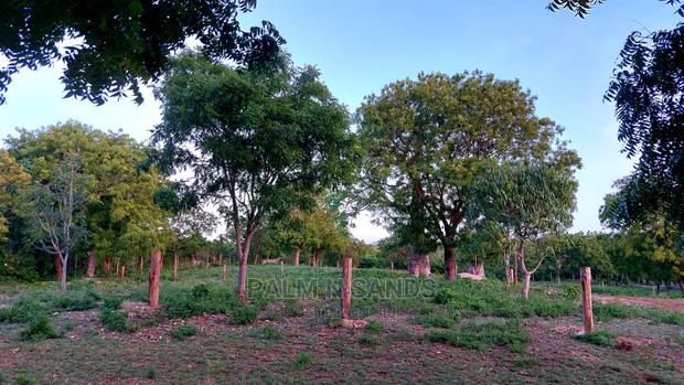 Diani Prime Quarter Acre Plots on Sale - main view