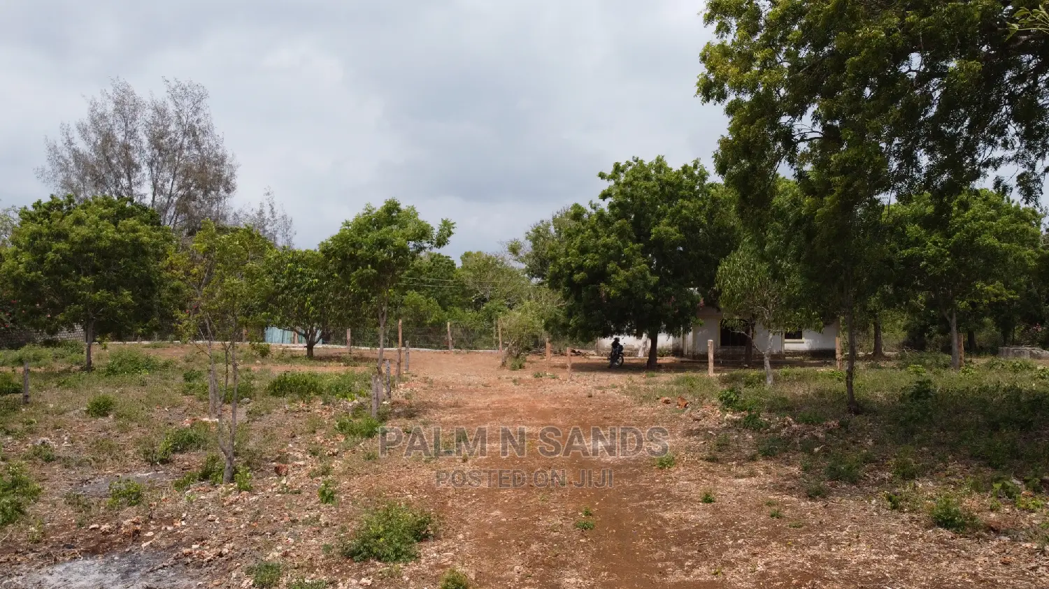 Diani Prime Quarter Acre Plots on Sale