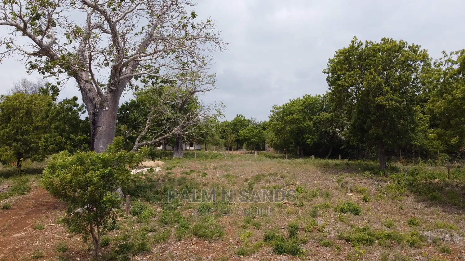 Diani Prime Quarter Acre Plots on Sale