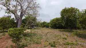 Diani Prime Quarter Acre Plots on Sale