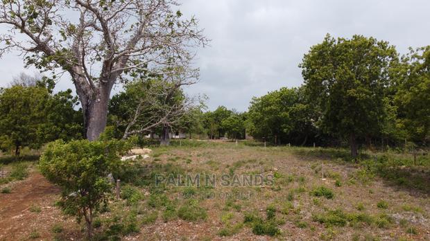 Diani Prime Quarter Acre Plots on Sale - thumbnail 5