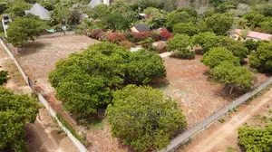 Diani Prime Quarter Acre Plots on Sale
