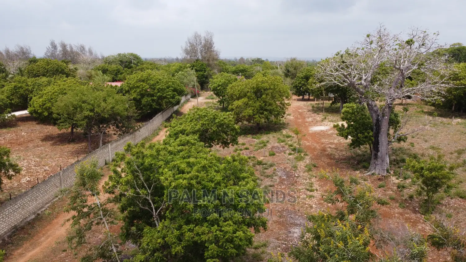 Diani Prime Quarter Acre Plots on Sale