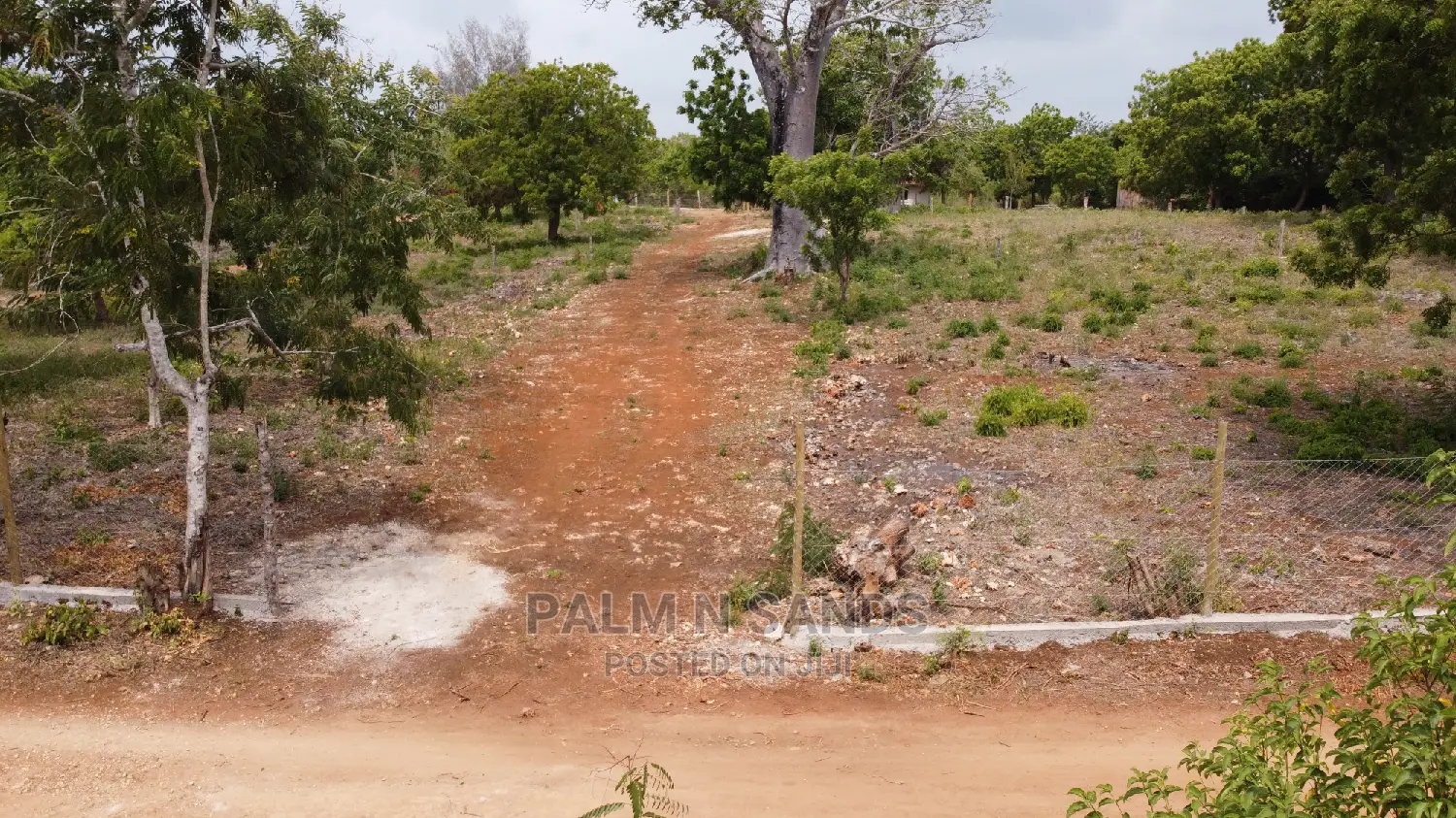 Diani Prime Quarter Acre Plots on Sale