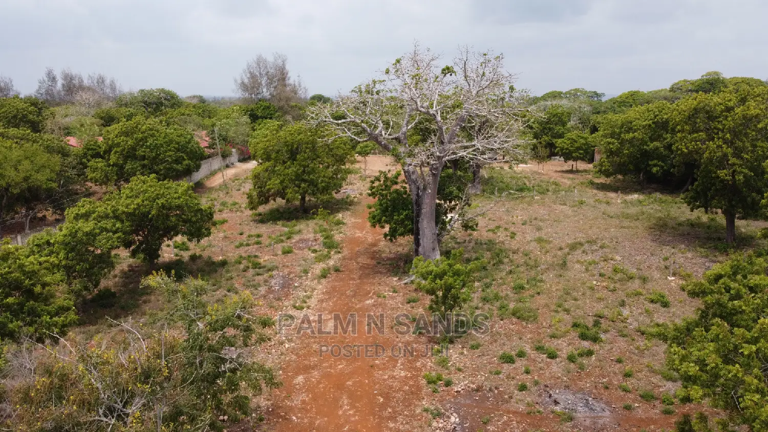 Diani Prime Quarter Acre Plots on Sale