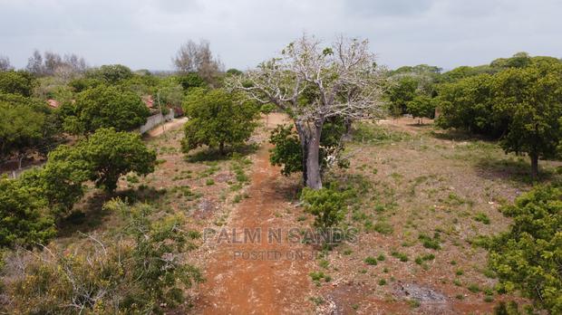 Diani Prime Quarter Acre Plots on Sale - thumbnail 10