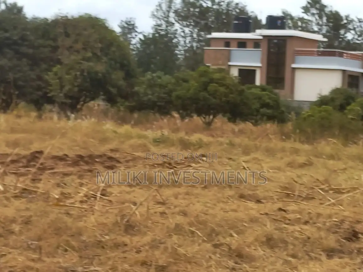 50 by 100 Plots on Sale at Kenol-Sagana Makutano.