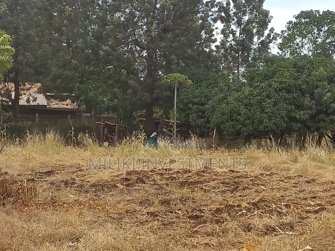 50 by 100 Plots on Sale at Kenol-Sagana Makutano.