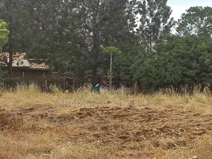 50 by 100 Plots on Sale at Kenol-Sagana Makutano.