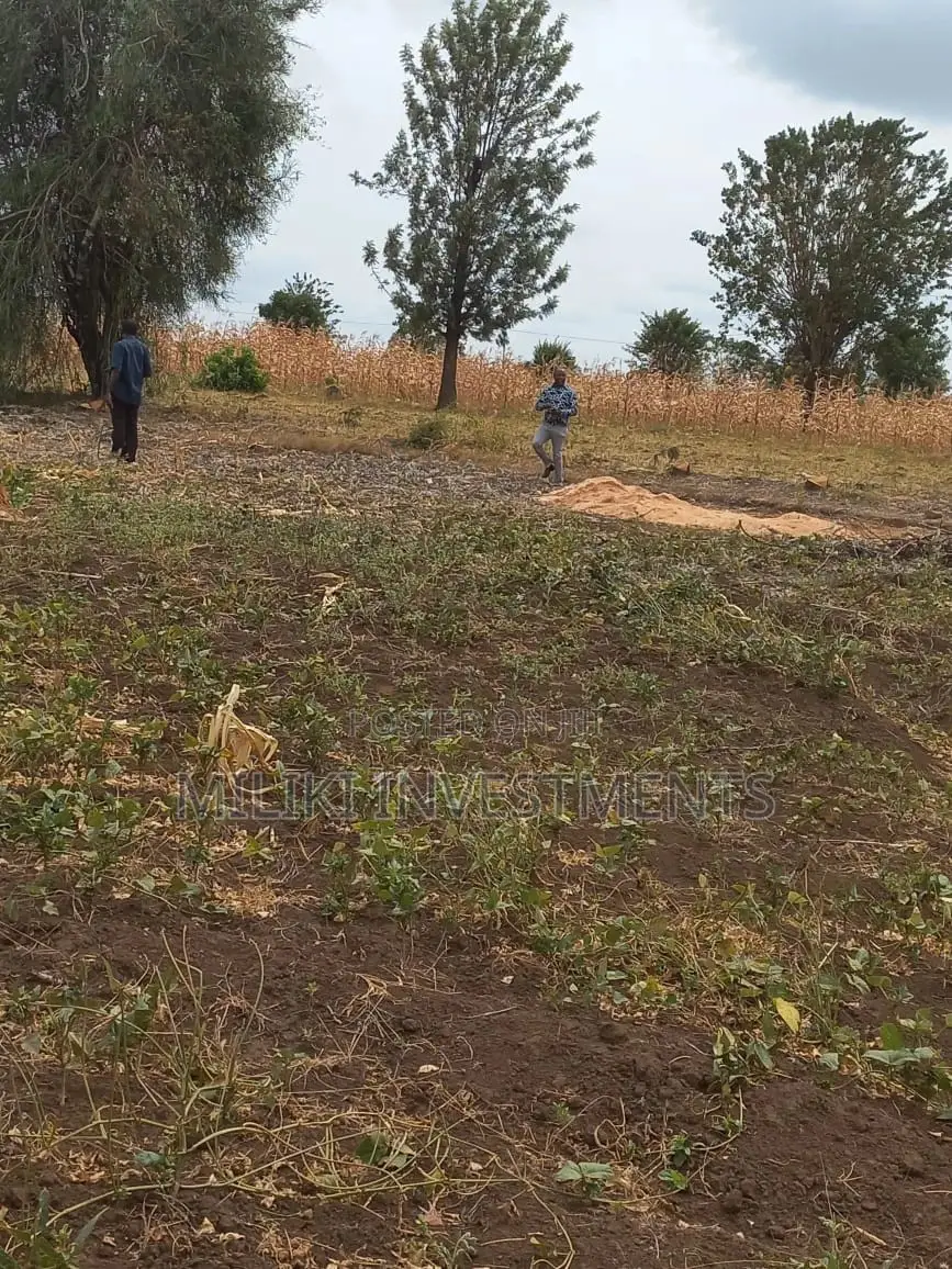 50 by 100 Plots on Sale at Kenol-Sagana Makutano.