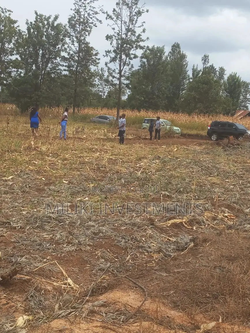 50 by 100 Plots on Sale at Kenol-Sagana Makutano.