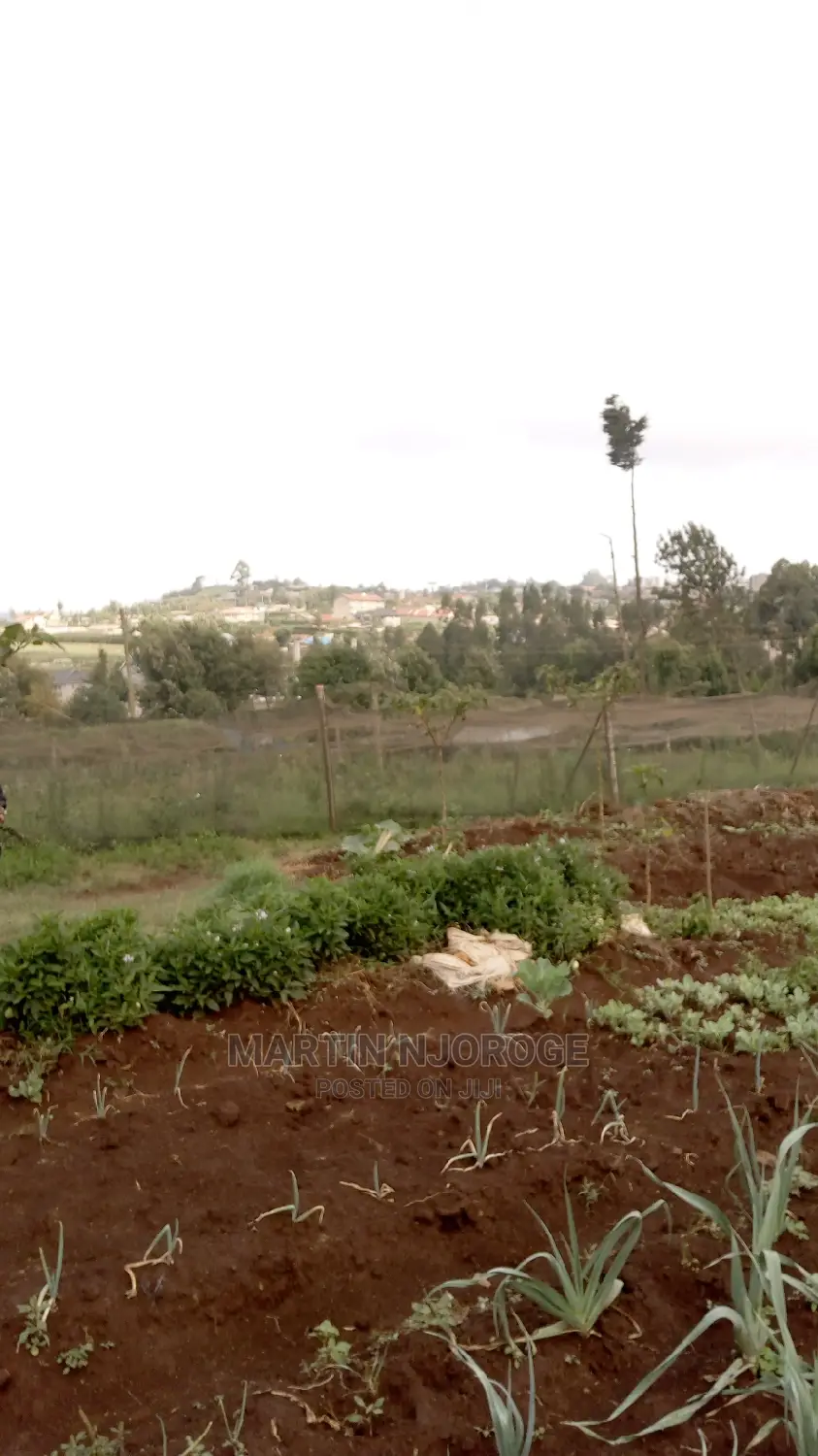 2 Acres Kamandura. PCEA Church Side