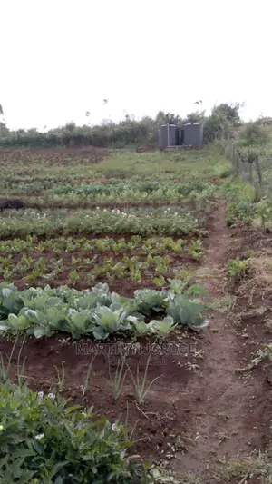 2 Acres Kamandura. PCEA Church Side