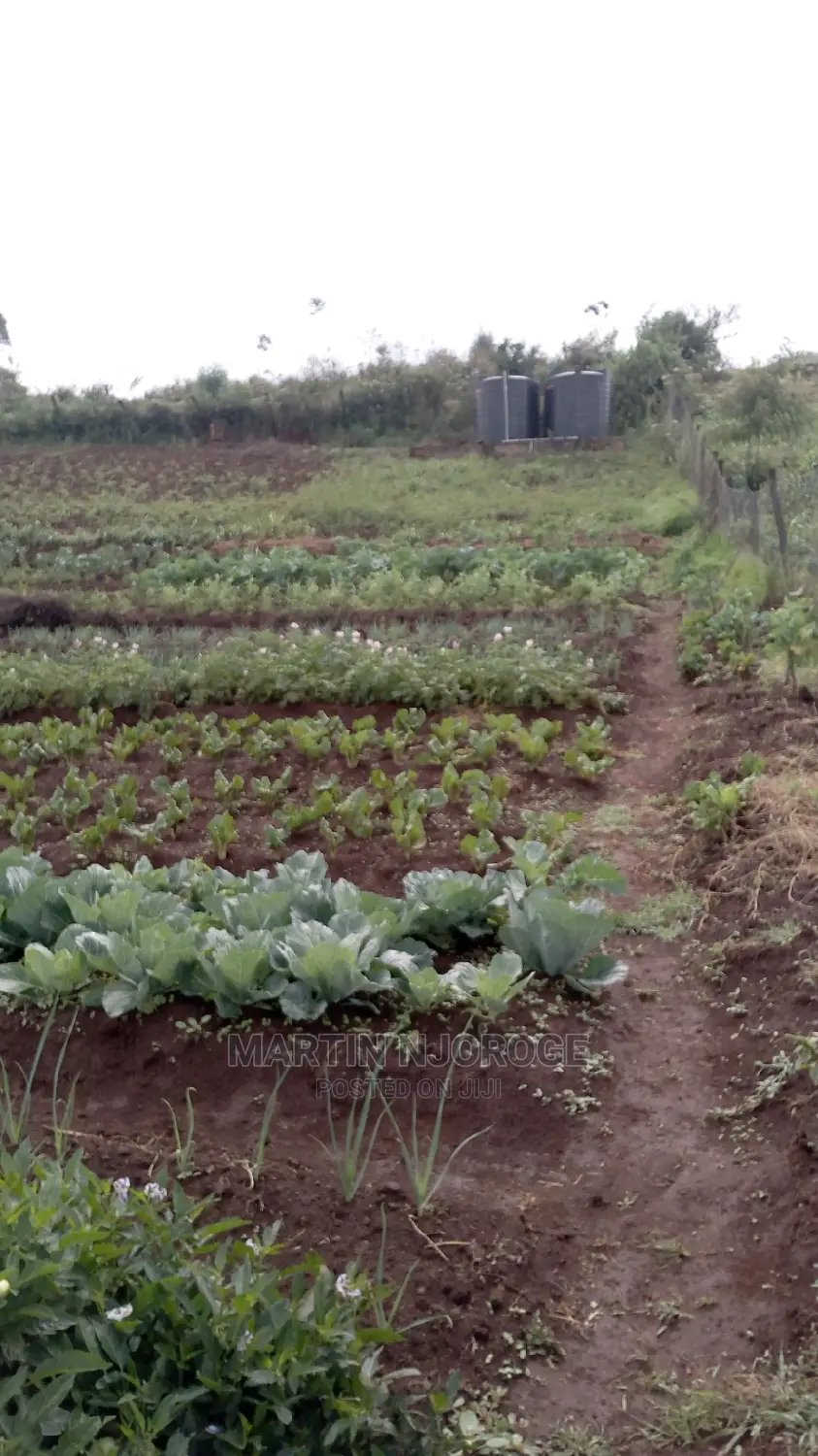 2 Acres Kamandura. PCEA Church Side