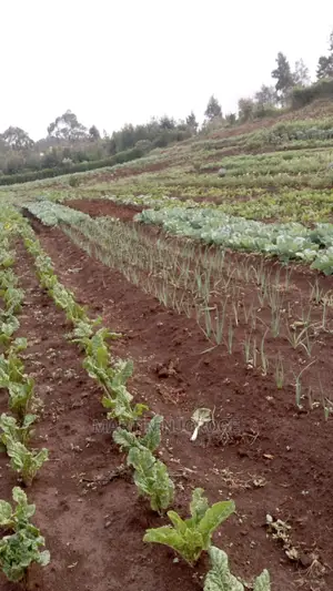 2 Acres Kamandura. PCEA Church Side
