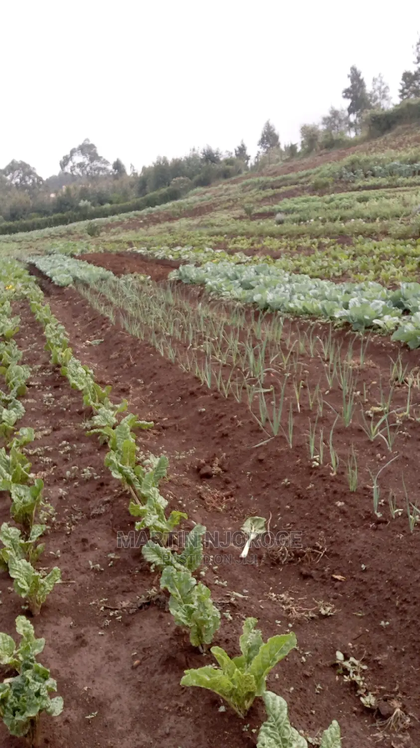 2 Acres Kamandura. PCEA Church Side