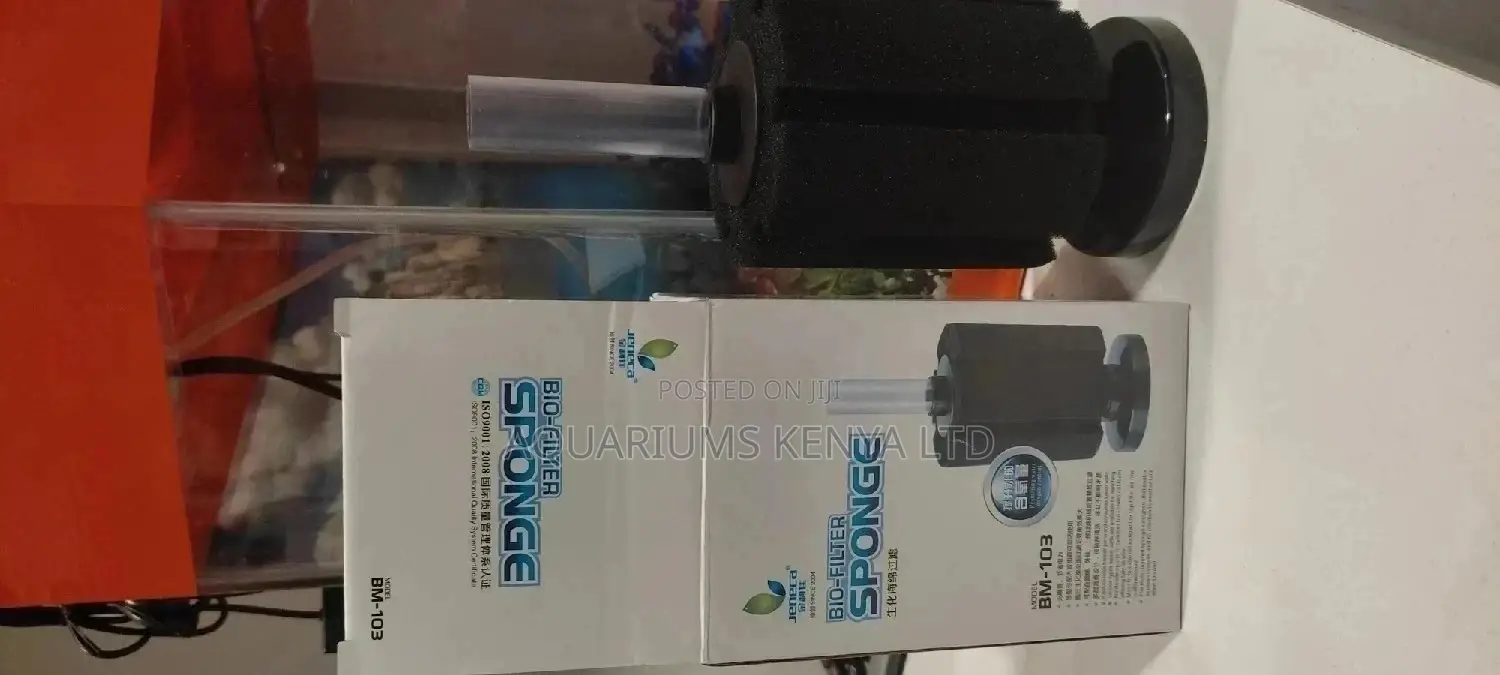 Jeneca Sponge Filter