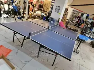 The Coolest Table Tennis