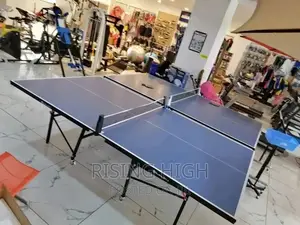 Awsome and Fantastic Folderble Table Tennis