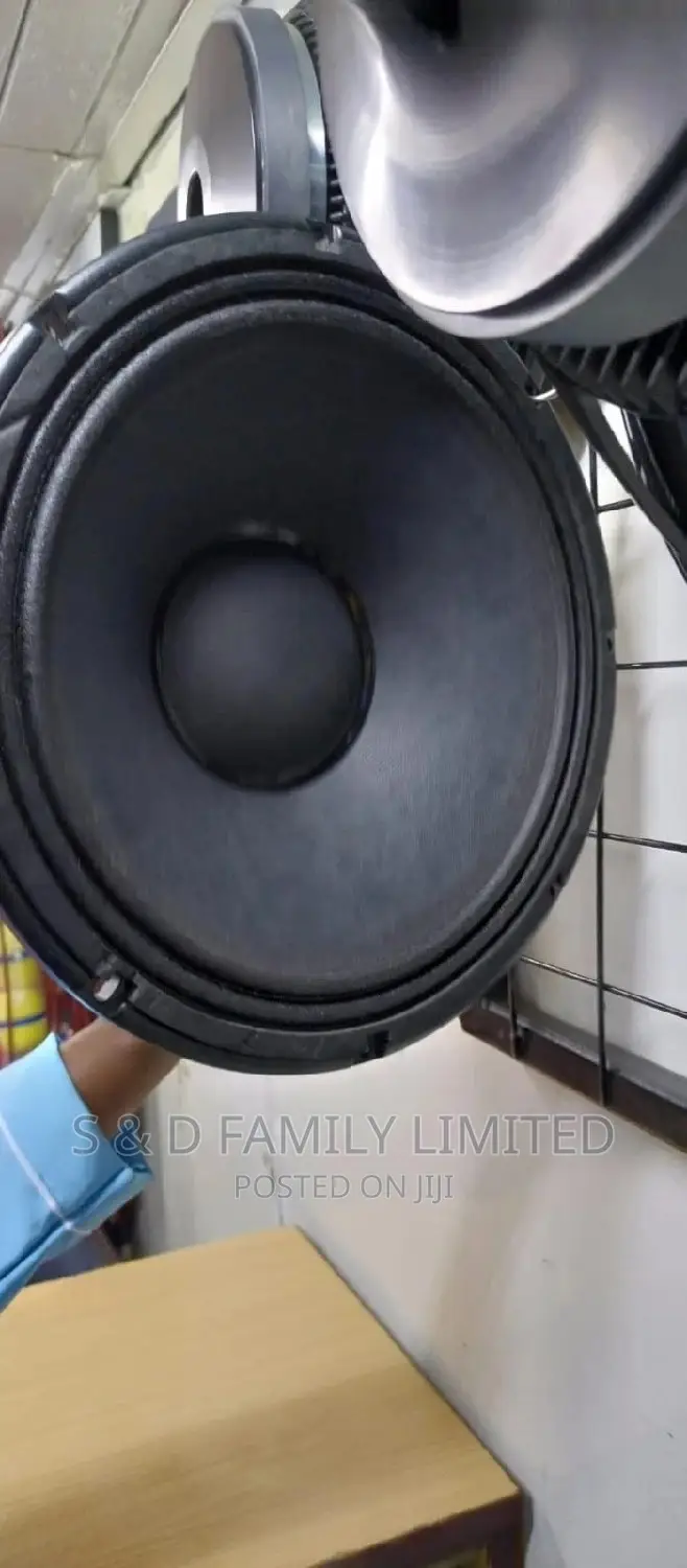 Black 12 Inch Naked Speaker