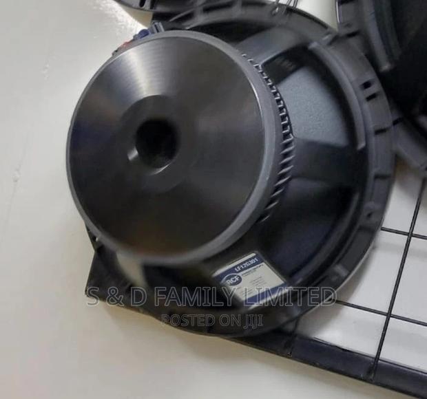 Black 12 Inch Naked Speaker