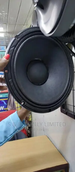 Black 12 Inch Naked Speaker