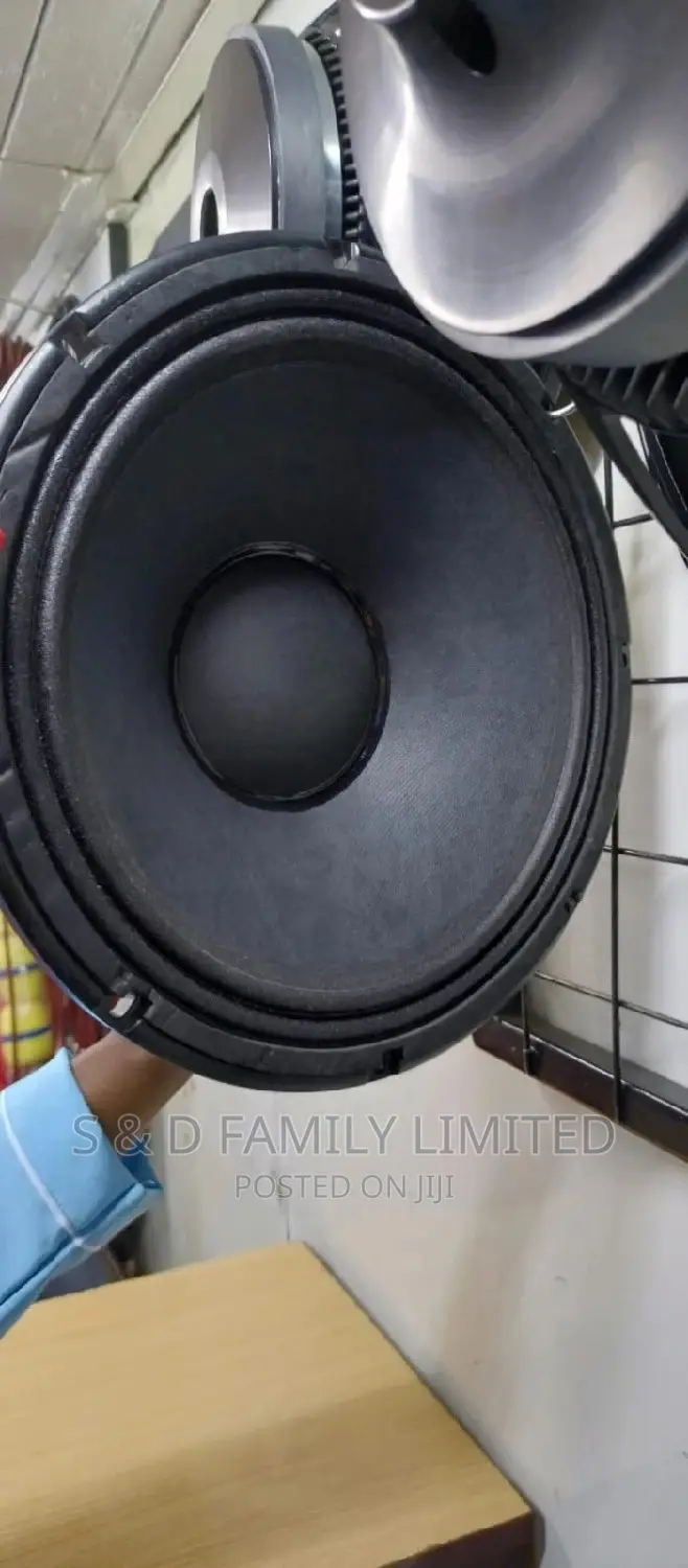 Black 12 Inch Naked Speaker