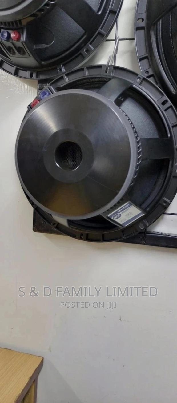 Black 12 Inch Naked Speaker - thumbnail 8