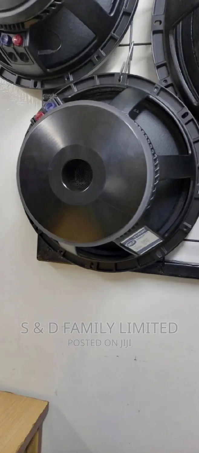 Black 12 Inch Naked Speaker