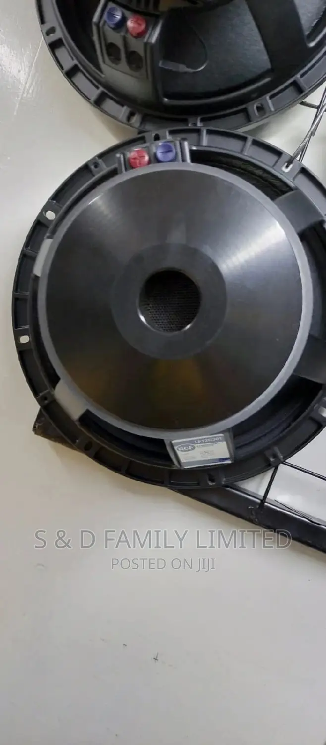 Black 12 Inch Naked Speaker