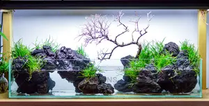 Lava Rocks (Basalt) for Fire Grill/Pit and Fish Aquarium