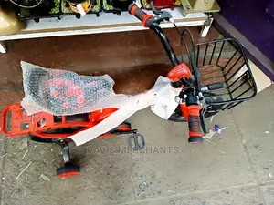 Kids Bike With a Basket