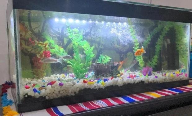 Black Braced Aquarium Complete - main view