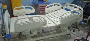 5 Function Electric Abs Bed