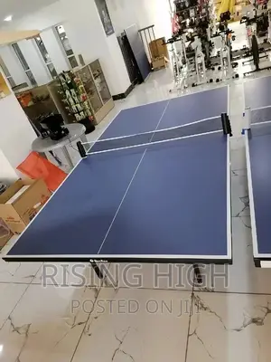 Great Quality Table Tennis