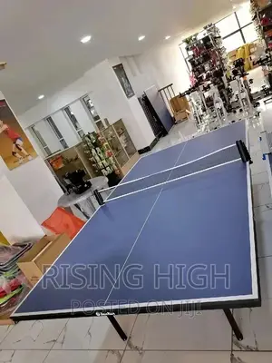 Unique High Quality Table Tennis
